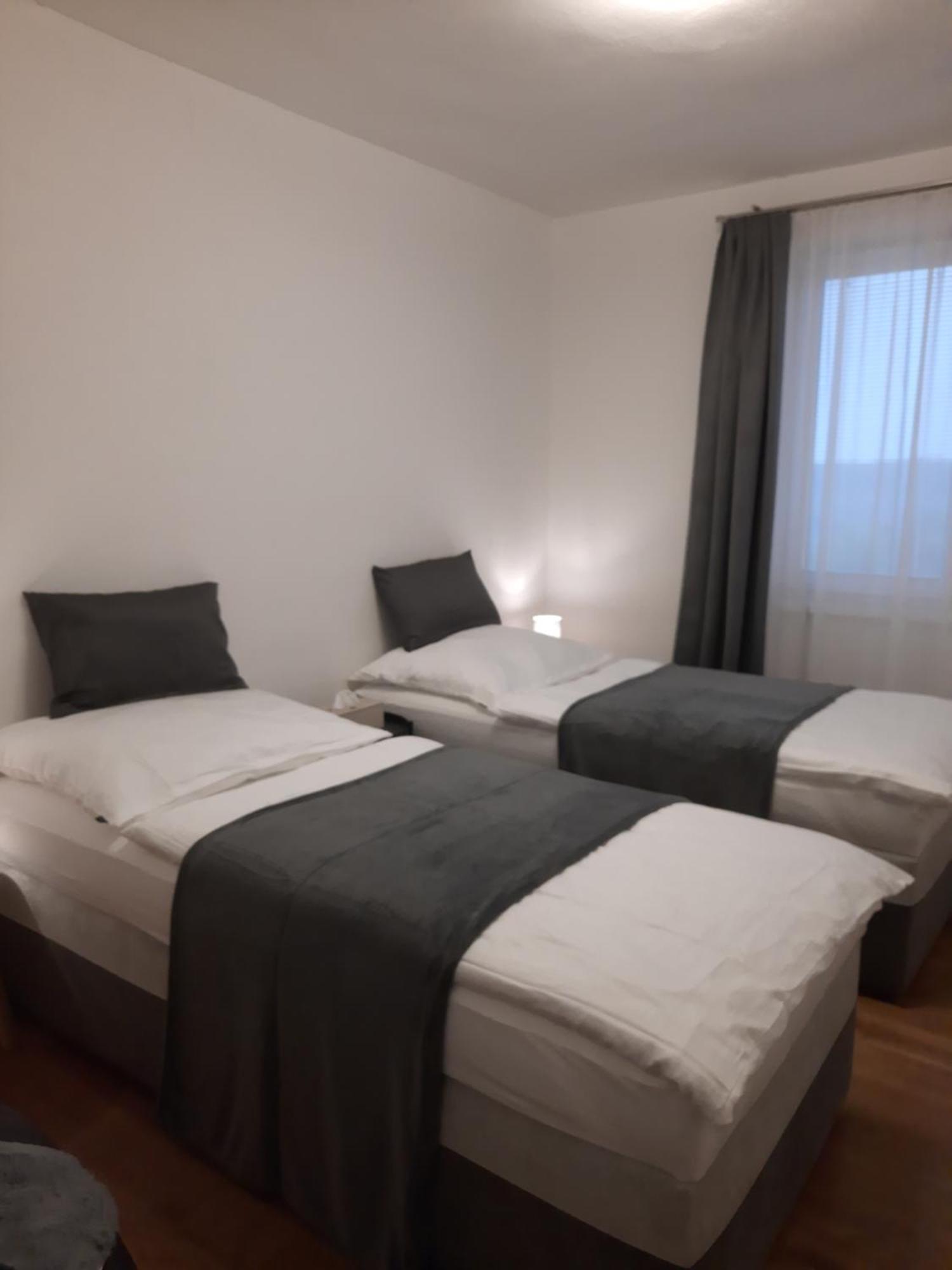 פאסוהלבקי Apartman Vital Na Palave - Ubytovani & Zivotni Restart מראה חיצוני תמונה